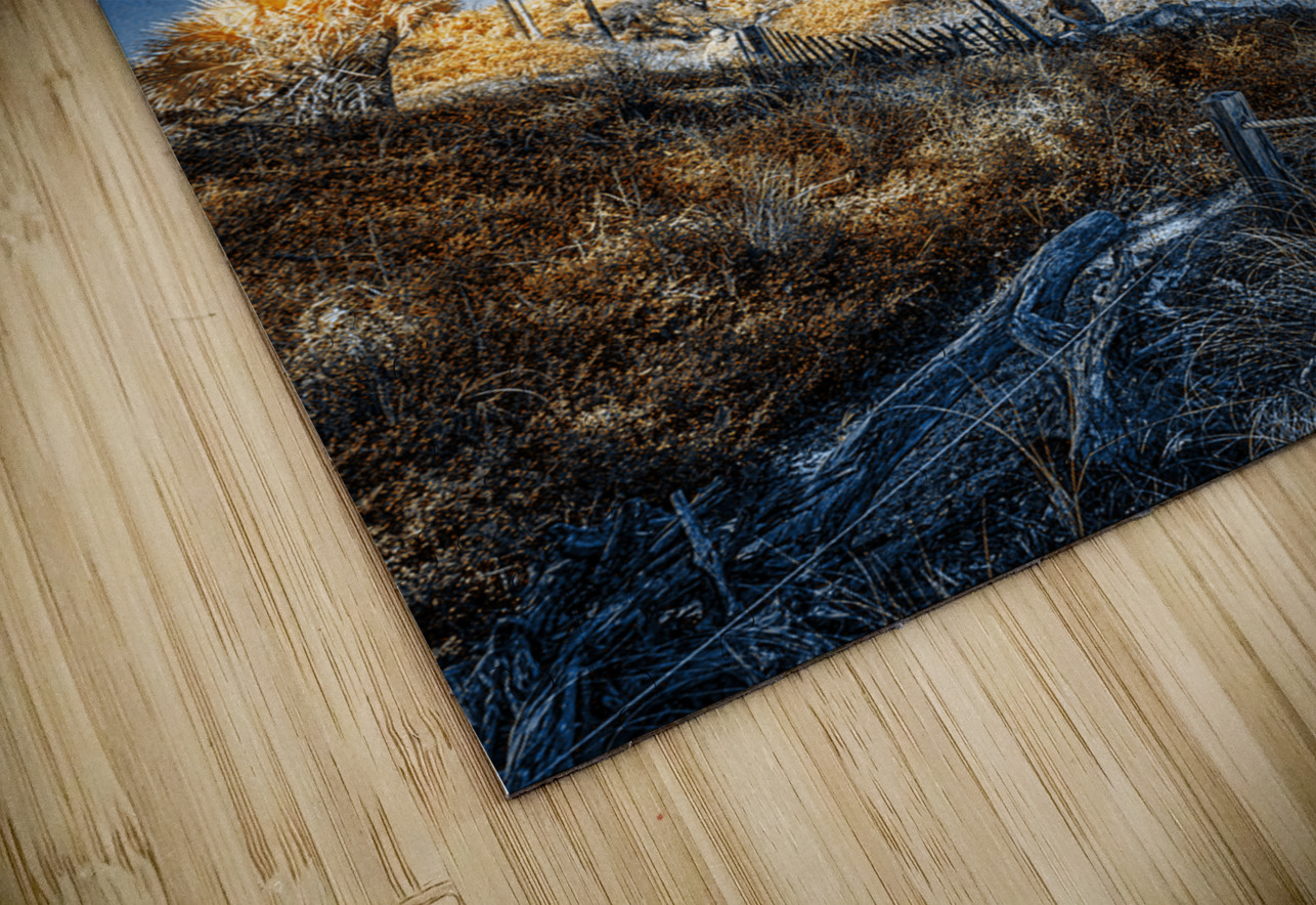 Blue Bonsai: A Botanical Marvel Unveiled on Driftwood Beach Dream World Images Puzzle