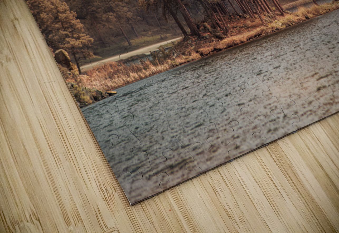 Forest Peninsula Dream World Images Puzzle