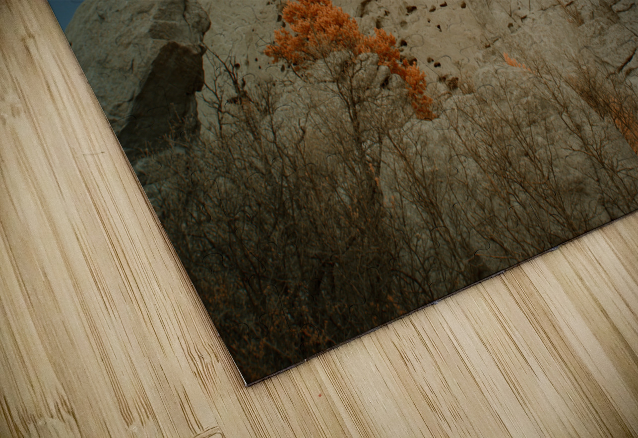 Orange Mountain Tree Dream World Images Puzzle