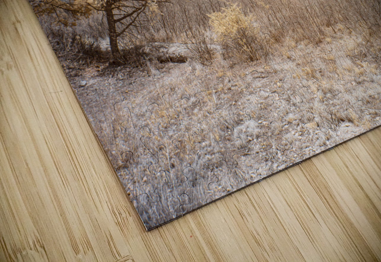 Scotchman Trail -2 Dream World Images Puzzle