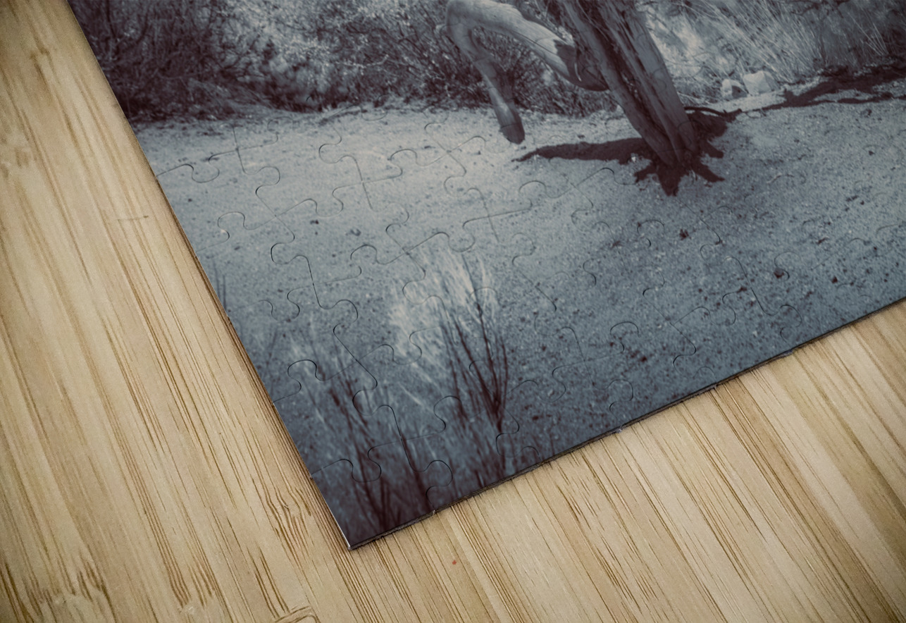 Natures Ancient Dance Dream World Images Puzzle