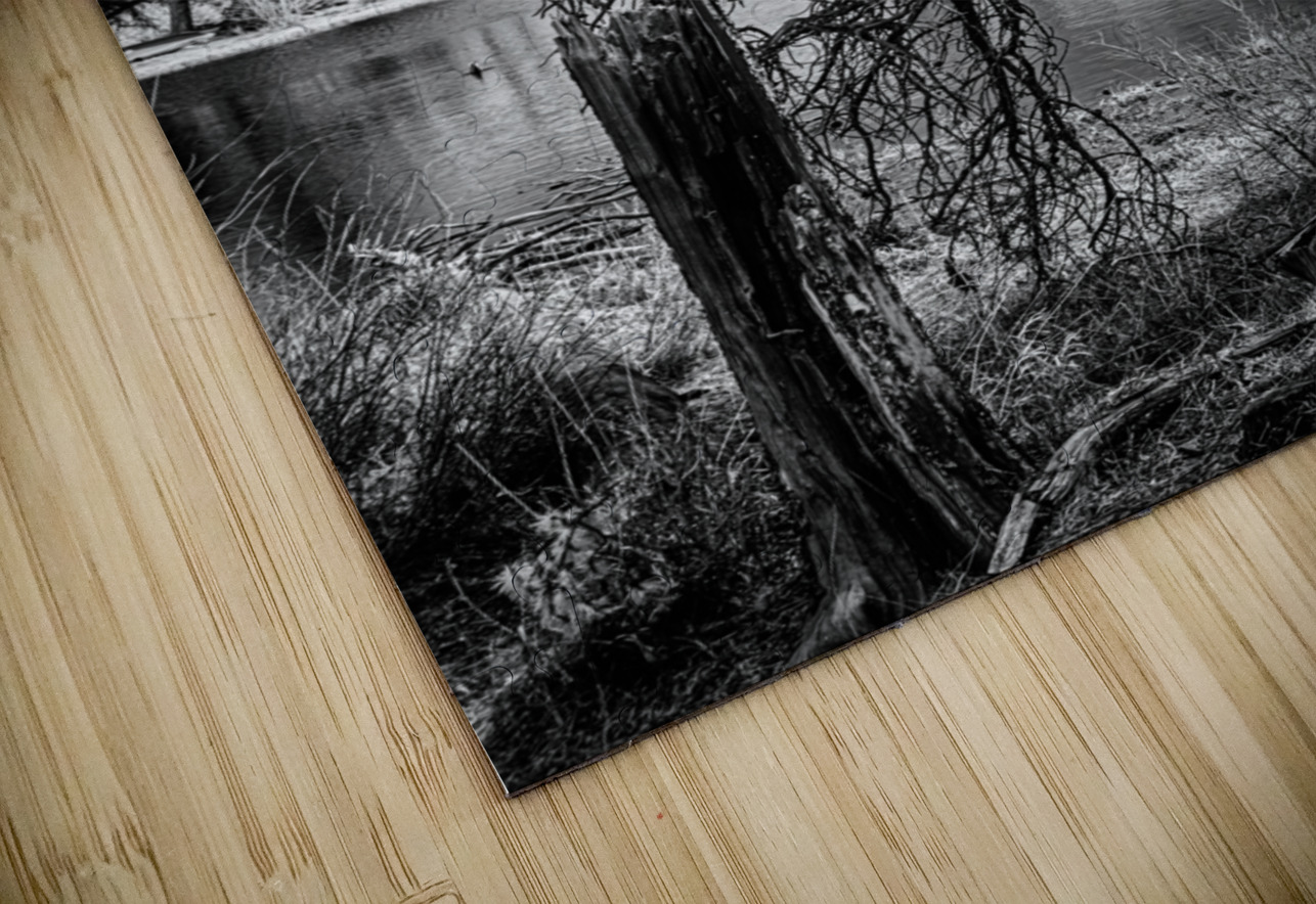 Mountain Lake Dead Tree Dream World Images Puzzle