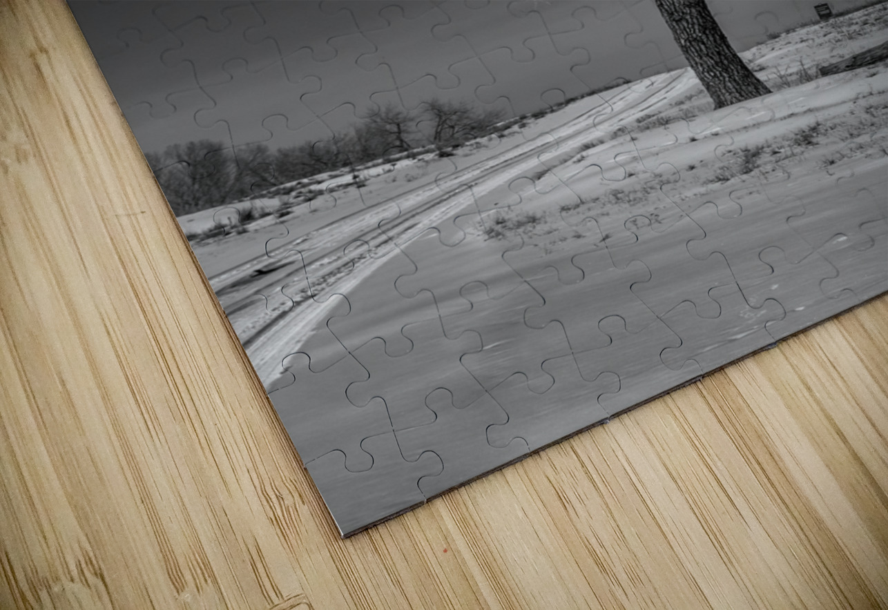 Winters Solitary Sentinel Dream World Images Puzzle