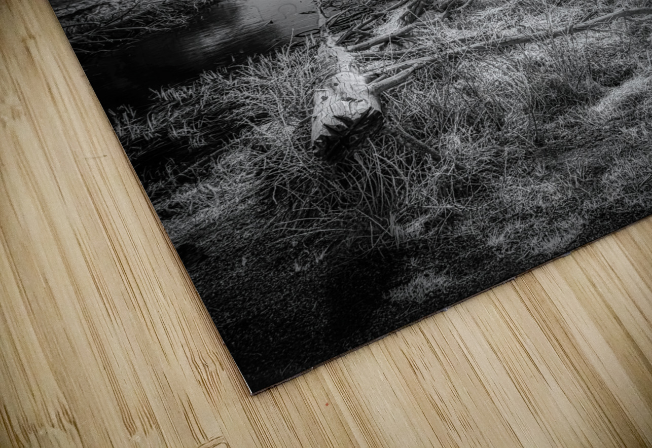 Fallen Sentinels: Rocky Mountain National Park Dream World Images Puzzle