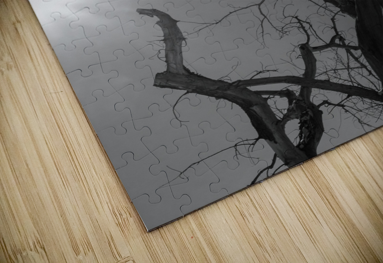 Luminous Legacy Dream World Images Puzzle