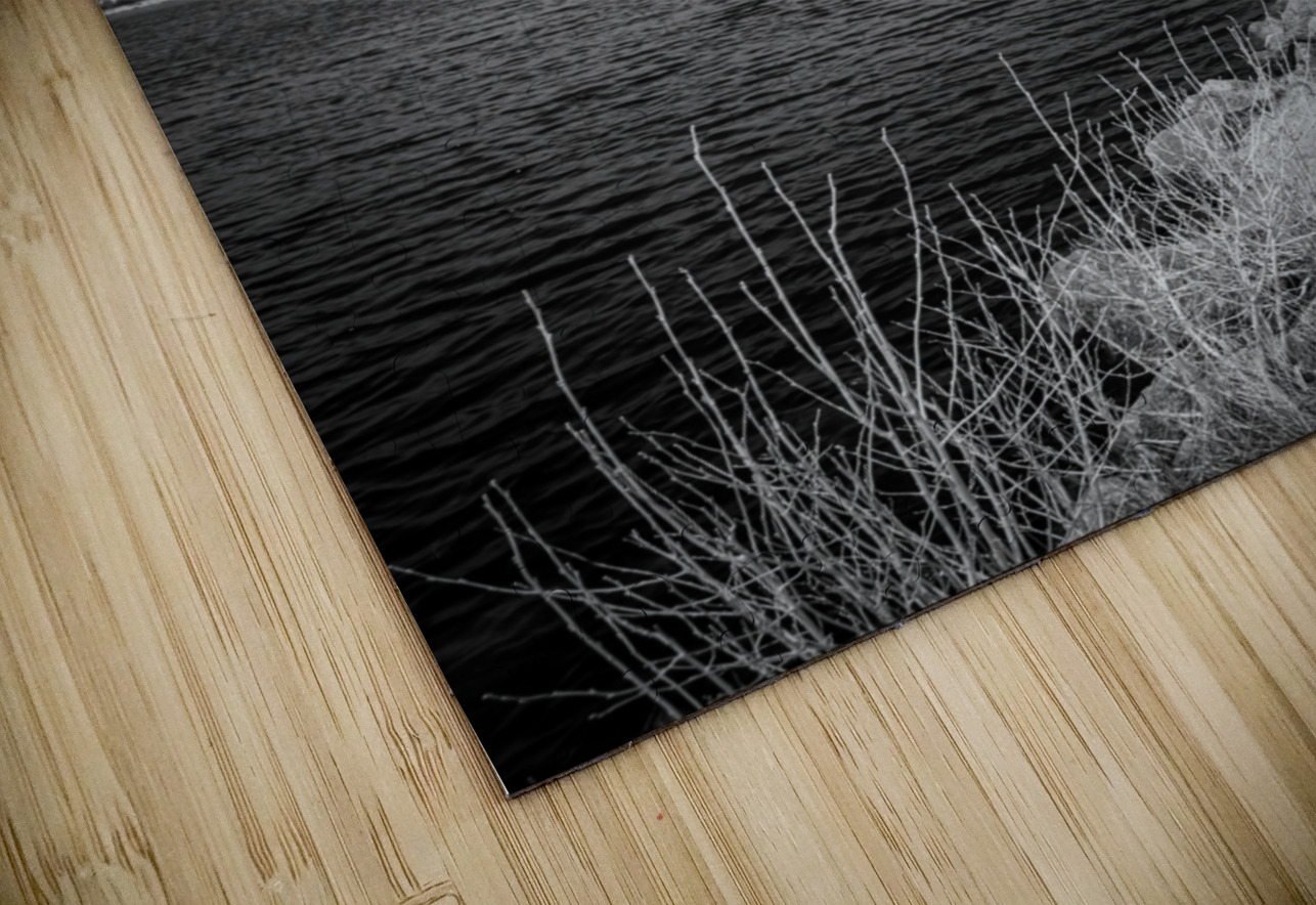 Shoreline Vista: Sprague Lake Dream World Images Puzzle