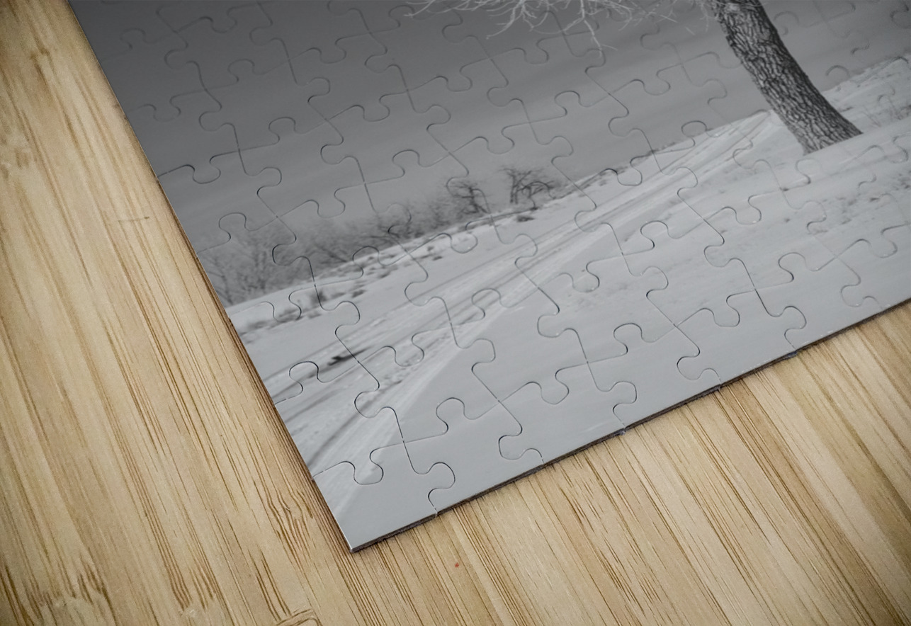 Tall Dream World Images Puzzle