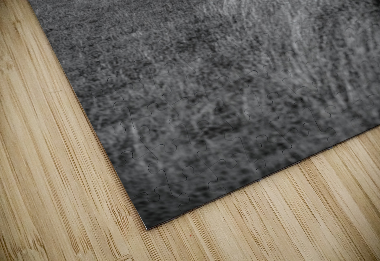 Fenceline Whisper in Monochrome Dream World Images Puzzle