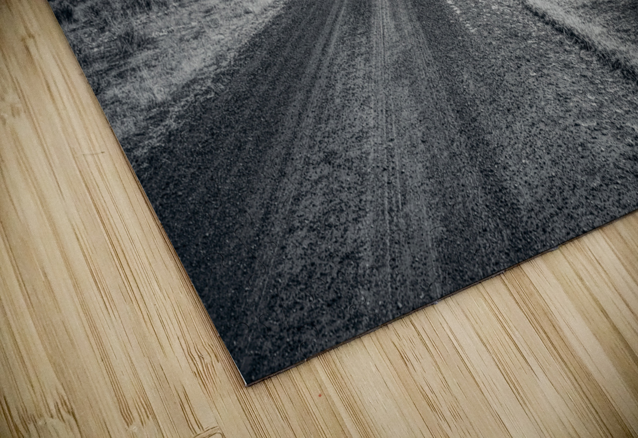 Journey Through Time: Capturing the Stark Beauty of Dawson New Mexicos Rural Landscape Dream World Images Puzzle