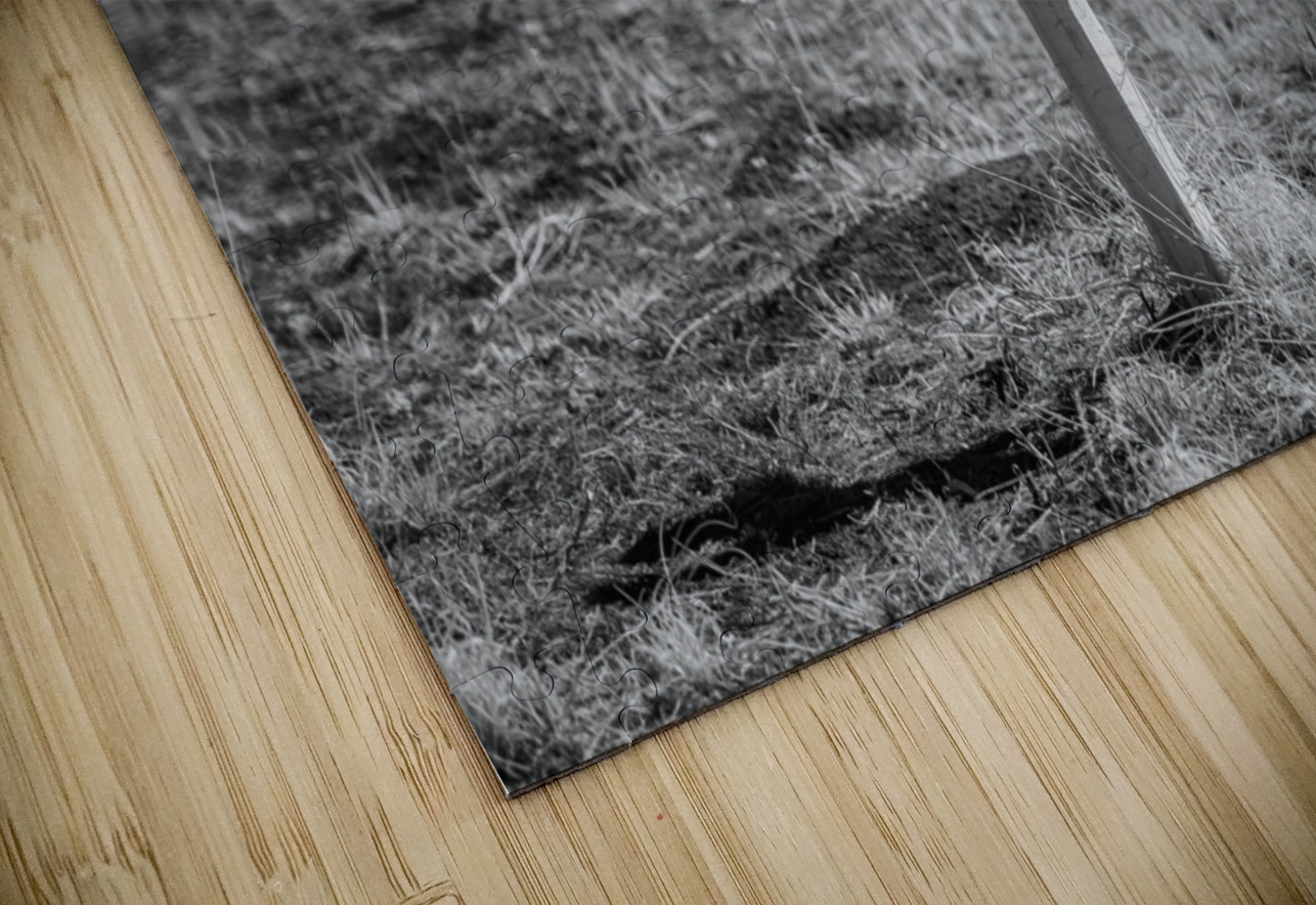 Echoes of Giovannis Rest Dream World Images Puzzle