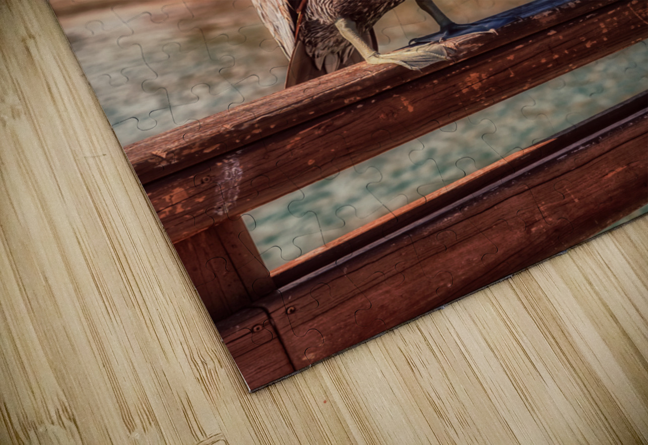 Pier Perch: A Quest for the Majestic Pelican at Saint Simons Island Georgia Dream World Images Puzzle