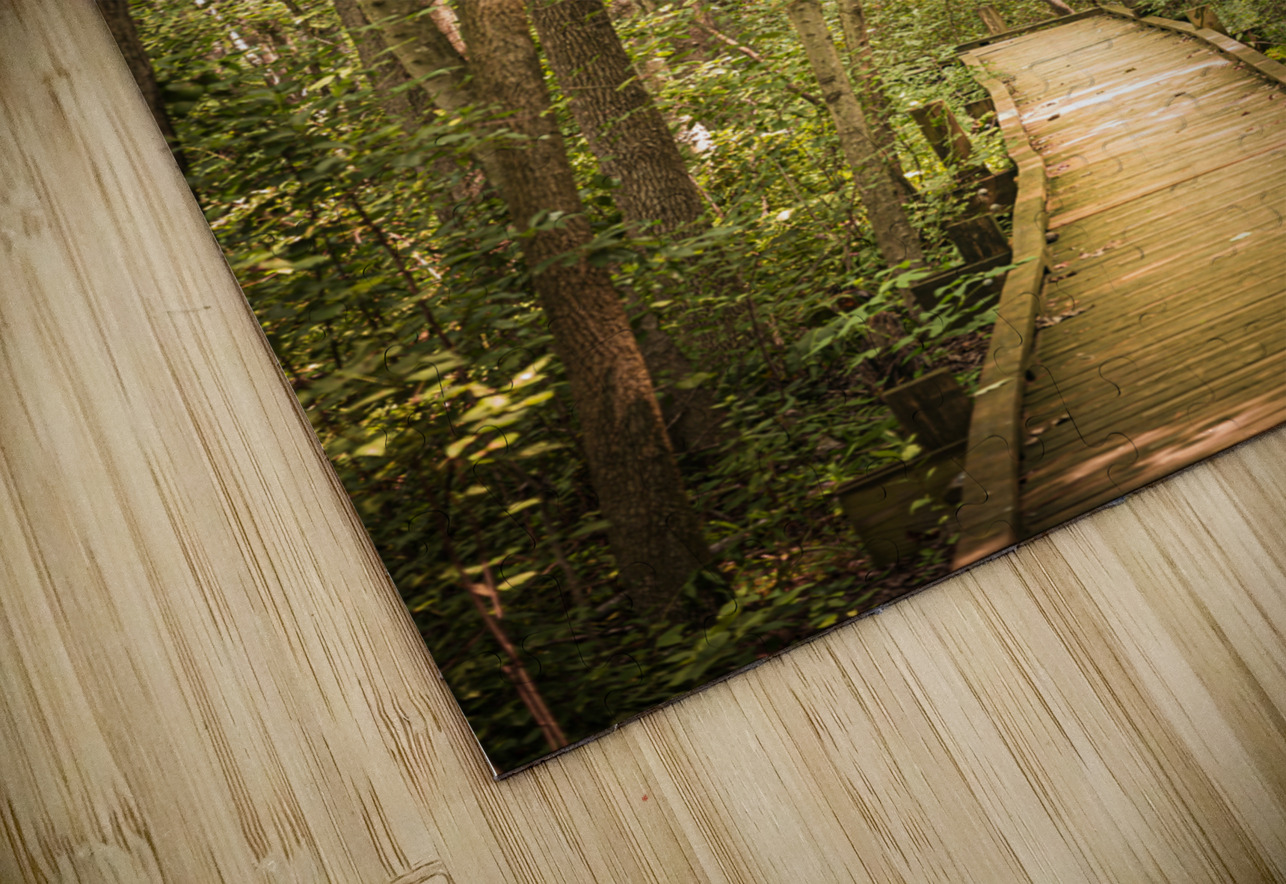 Pathway to Woodland Dreams Dream World Images Puzzle