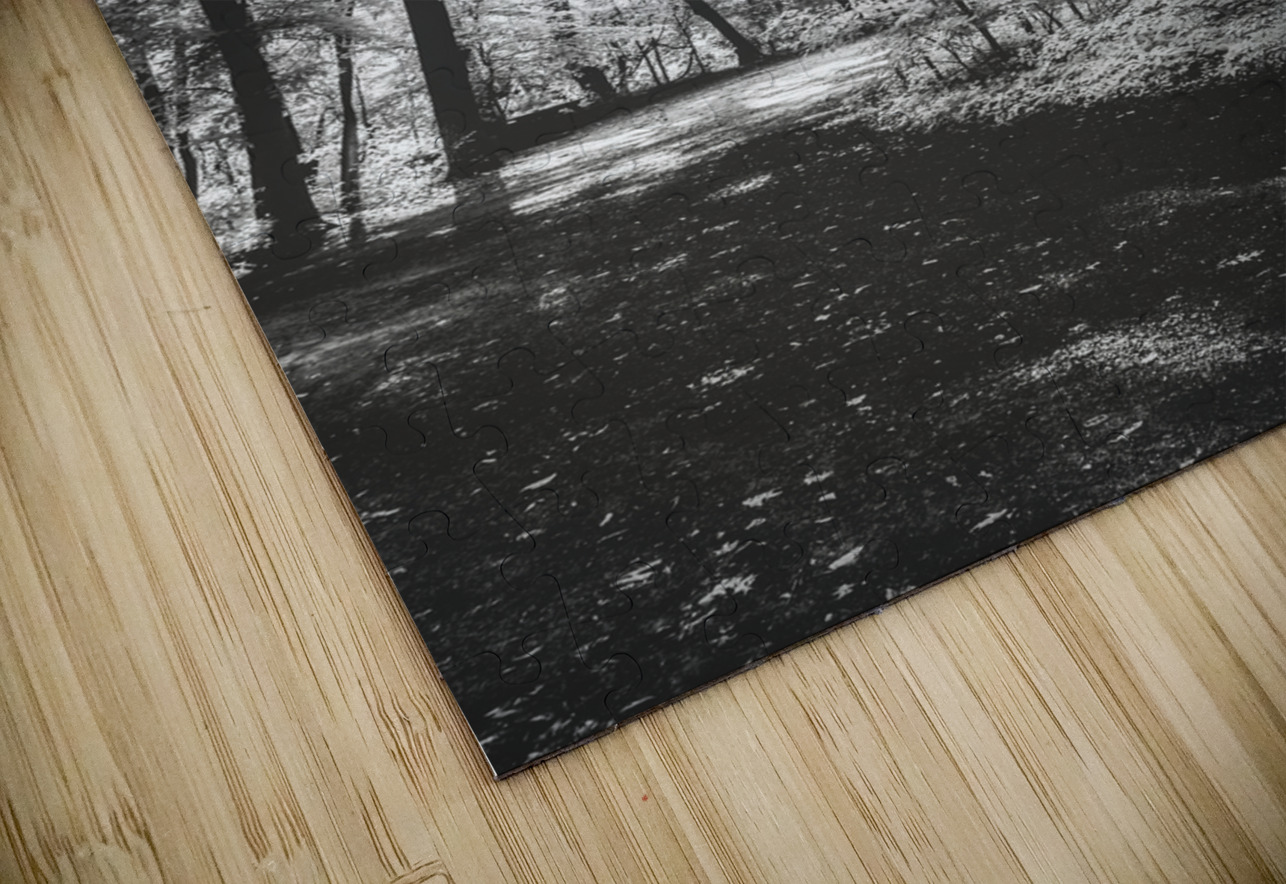 Roasted Road Dream World Images Puzzle