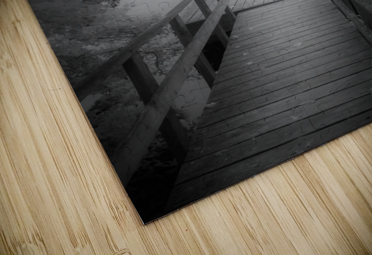 Stillness Captured: Abbotts Pond Dream World Images Puzzle