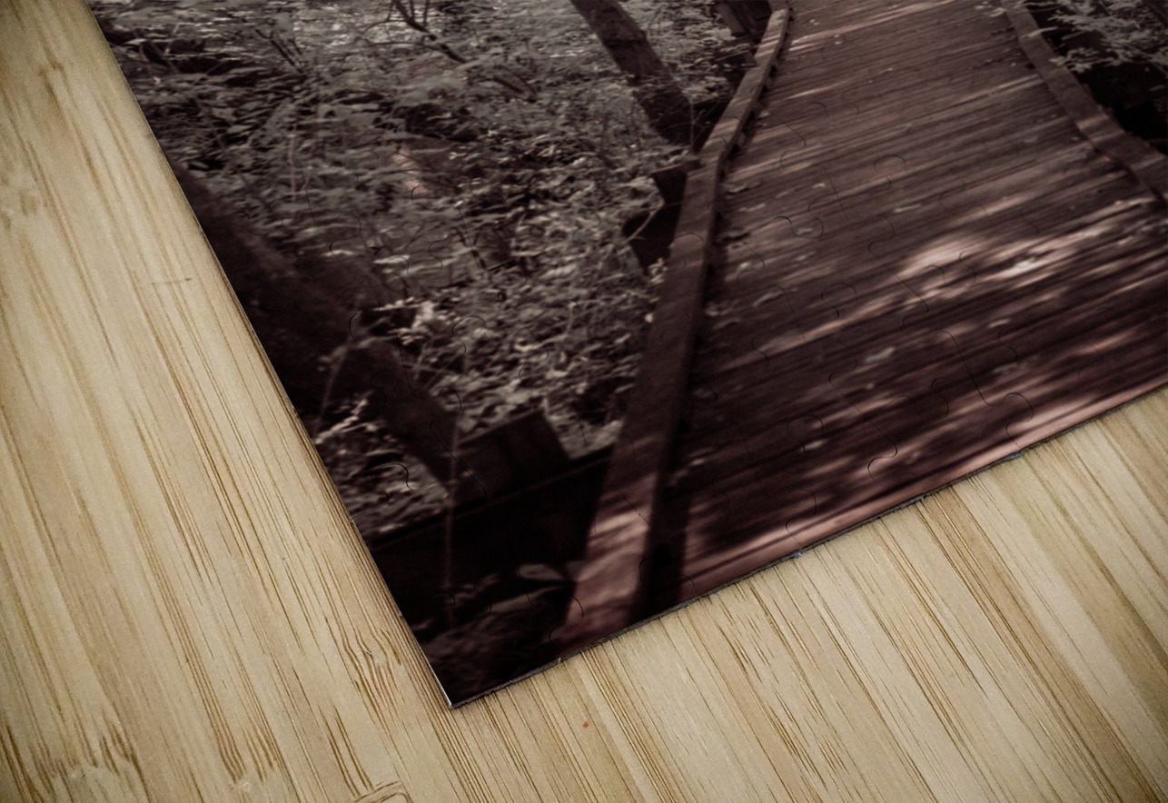 Abbotts Mill Trailblazing: A Swamp Journey in Delawares Natural Oasis Dream World Images Puzzle