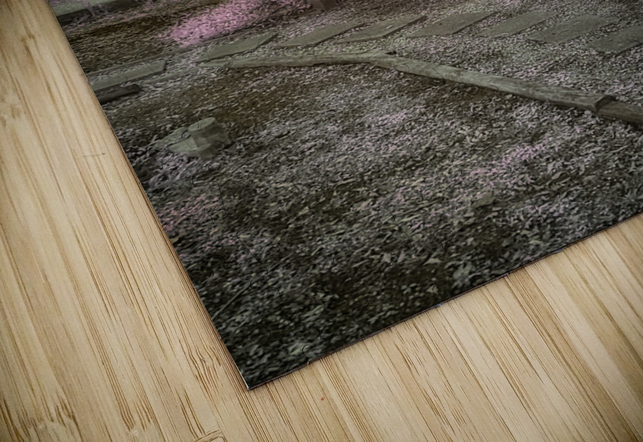 Echoes of Time: Infrared Memories Dream World Images Puzzle