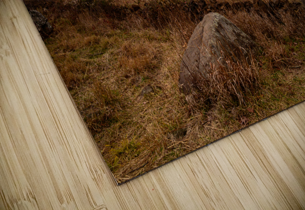 Triangular Fields Path Dream World Images Puzzle