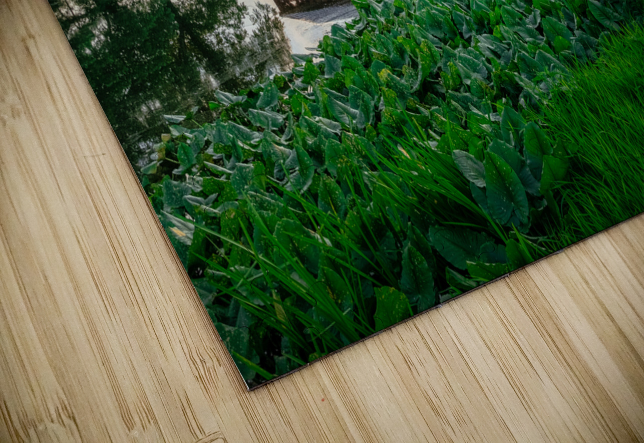 Serene Sunset Behind Sachs Covered Bridge Dream World Images Puzzle