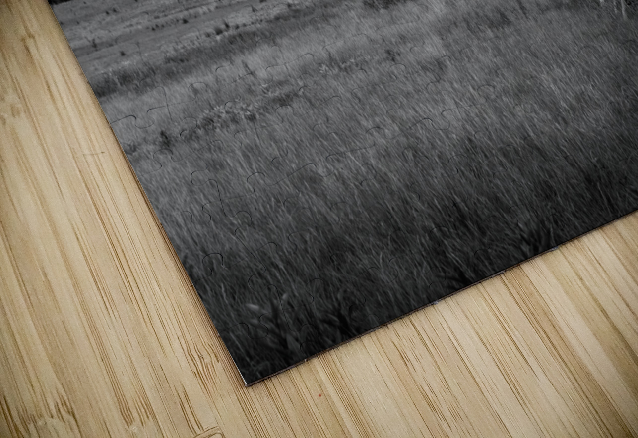 Fenceline Field Dream World Images Puzzle