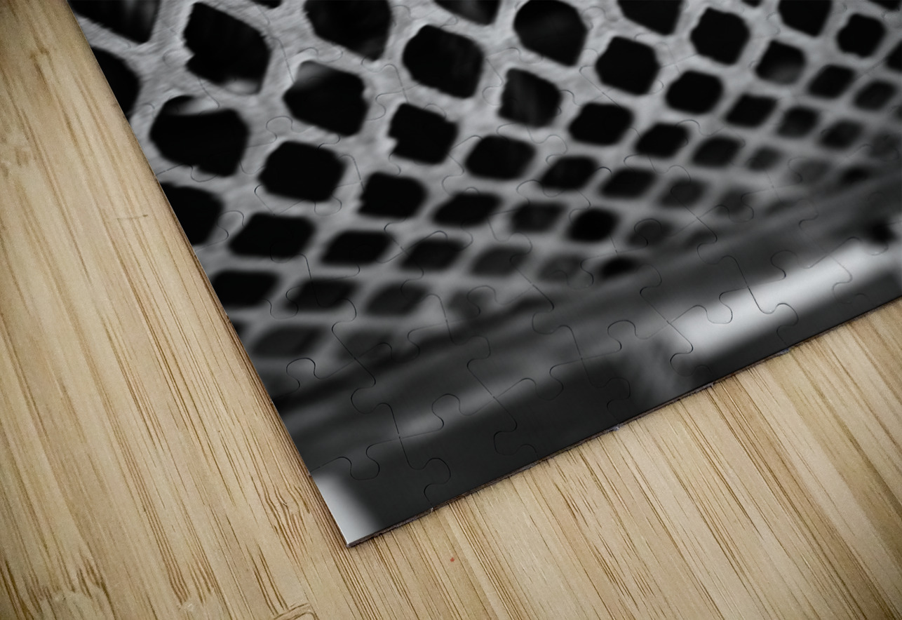 Monochrome Marine Mysteries: Up Close & Personal Dream World Images Puzzle