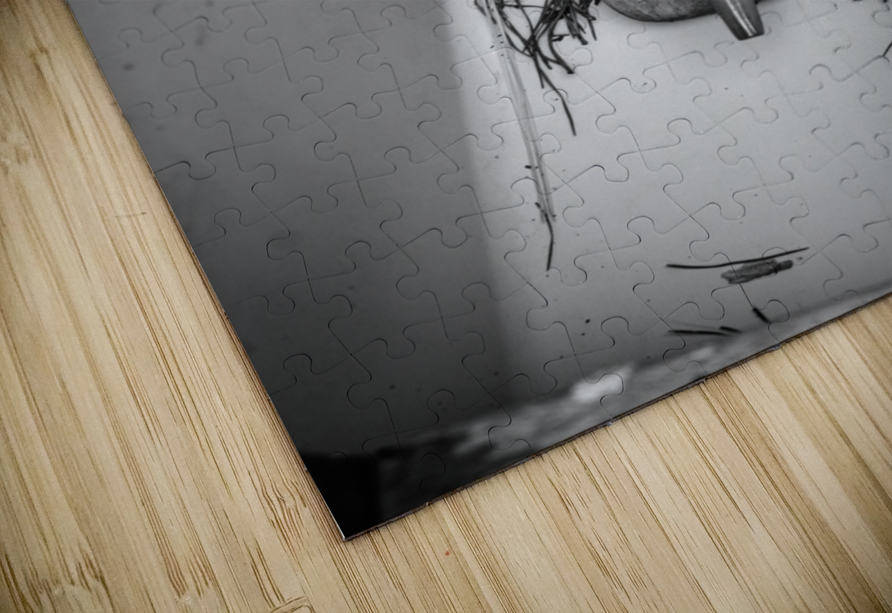 Monochrome Marine: Exploring Boat Details Dream World Images Puzzle