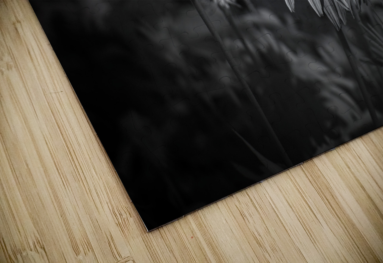 Loris Flowers - 2 Dream World Images Puzzle