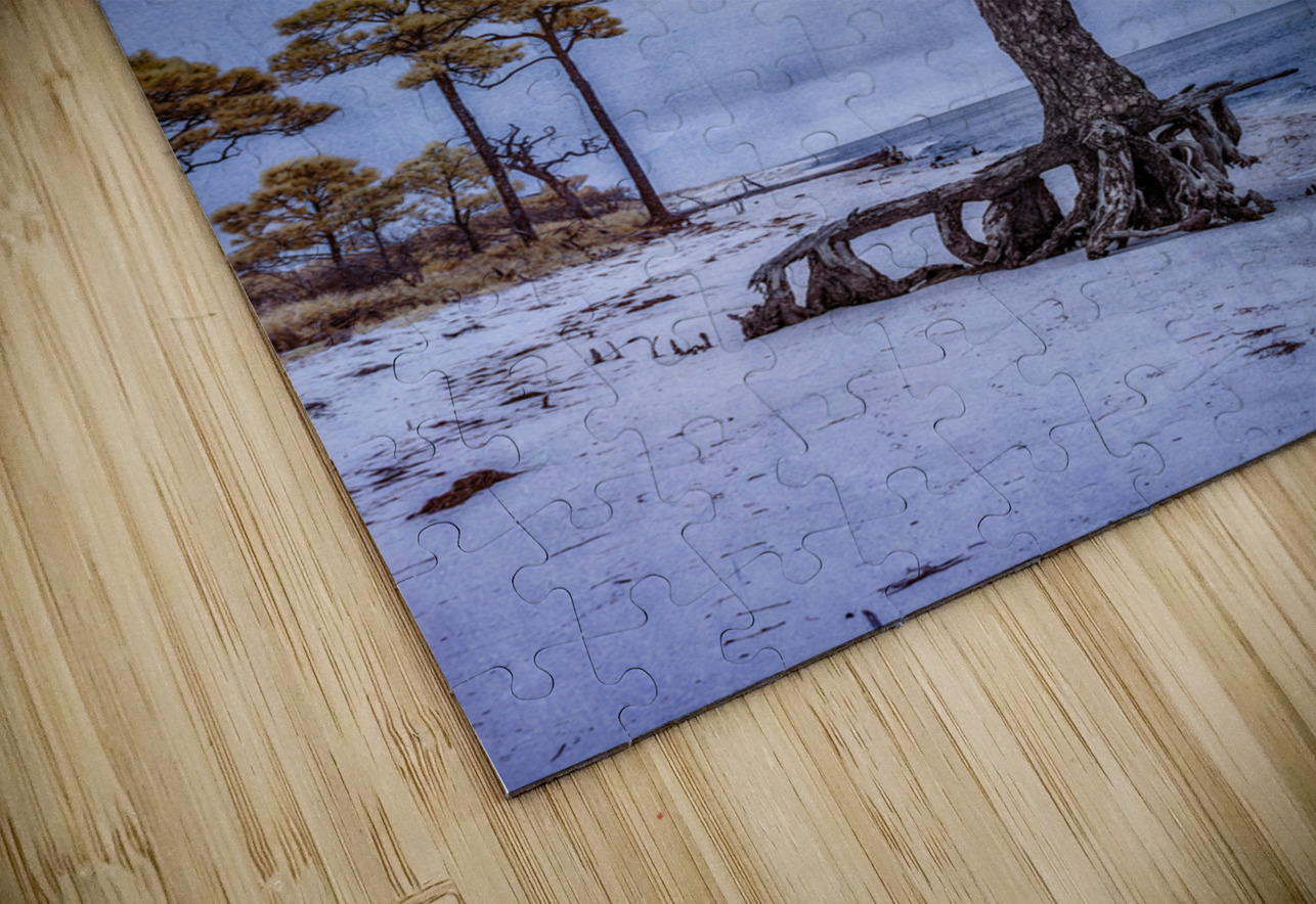 Coastal Sentinels Last Watch Dream World Images Puzzle