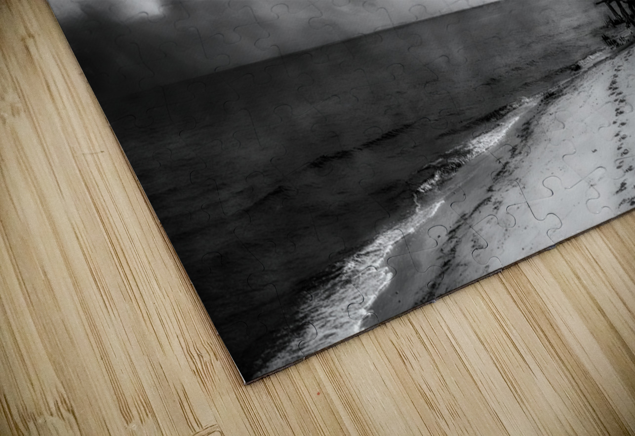 Ghosts of the Shoreline: Dead Tree Footprints Dream World Images Puzzle