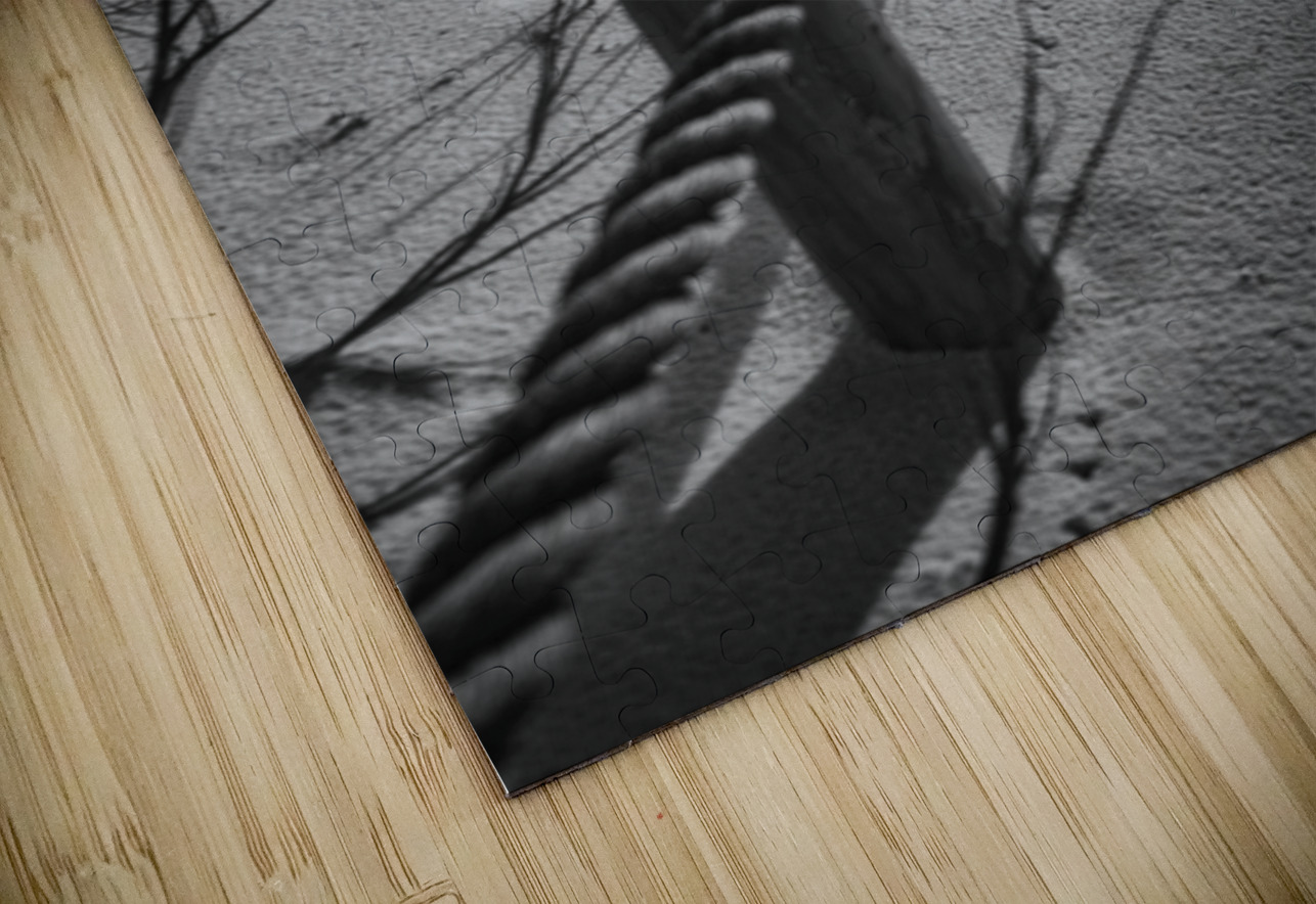 Gulf Coast Barrier Dream World Images Puzzle