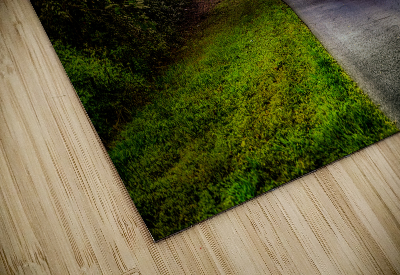 Around the Bend Dream World Images Puzzle