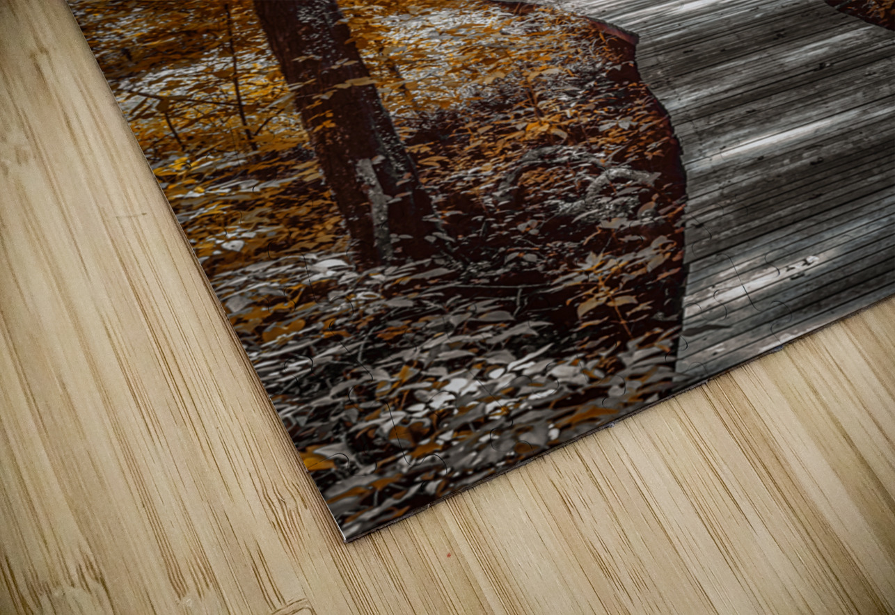 Golden Swamp Walk Dream World Images Puzzle