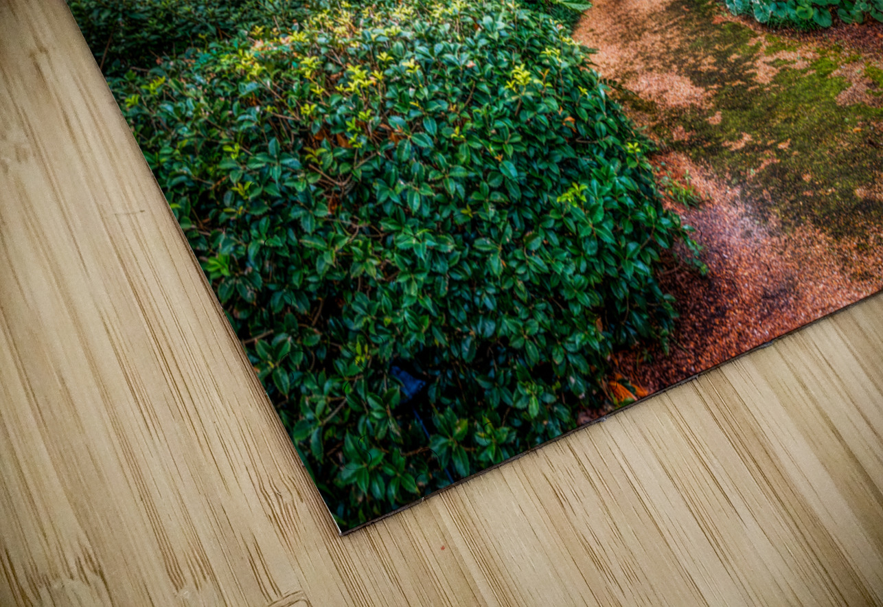 Footpath Dream World Images Puzzle