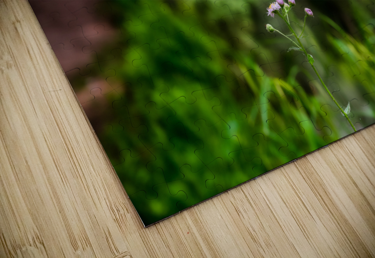 Tranquil Blossoms: A Close Encounter with Wildflower Splendor Dream World Images Puzzle