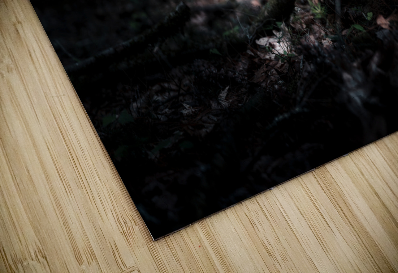 Veil of Quiet Elegance Dream World Images Puzzle