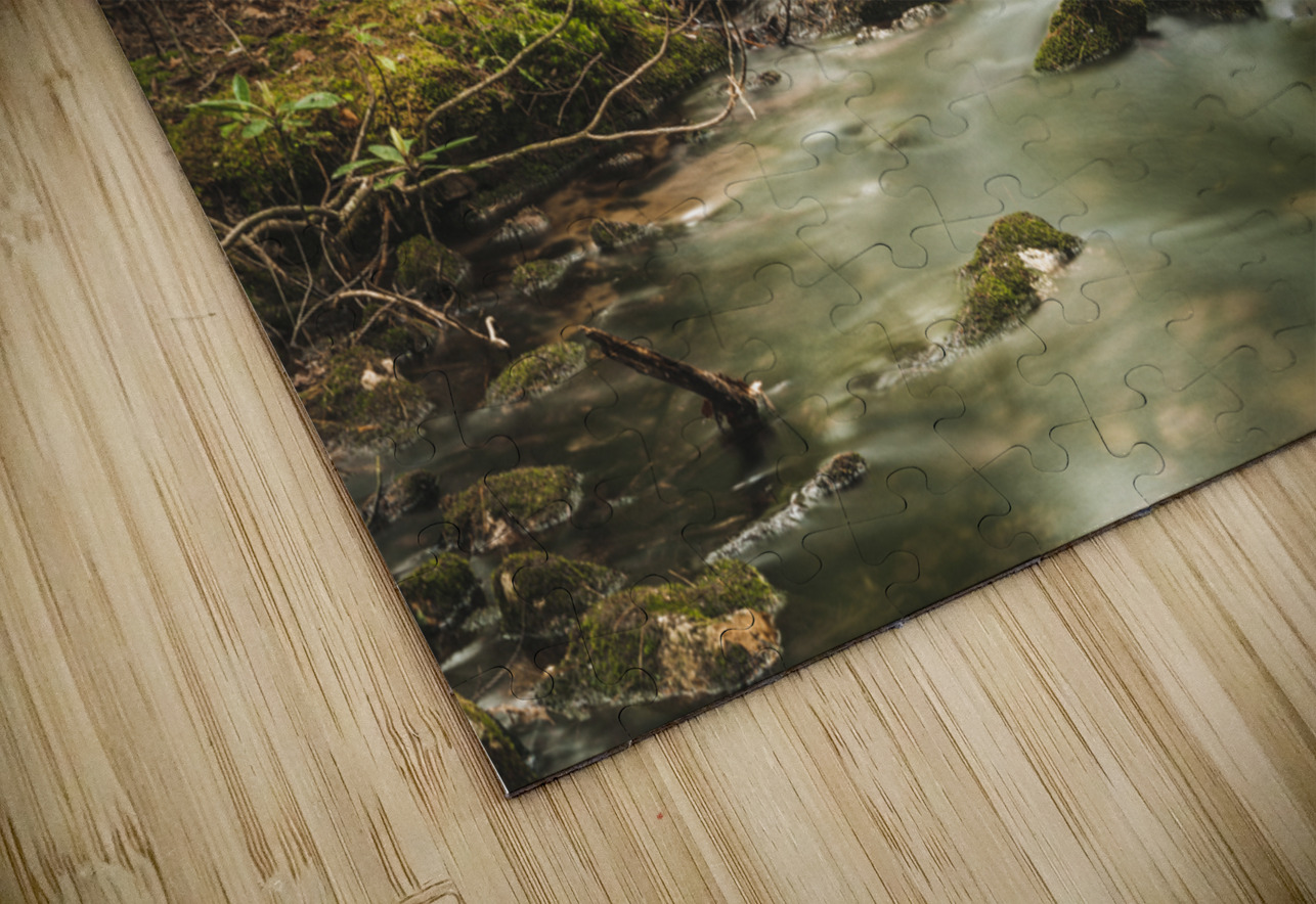 Mossy Rocks Dream World Images Puzzle