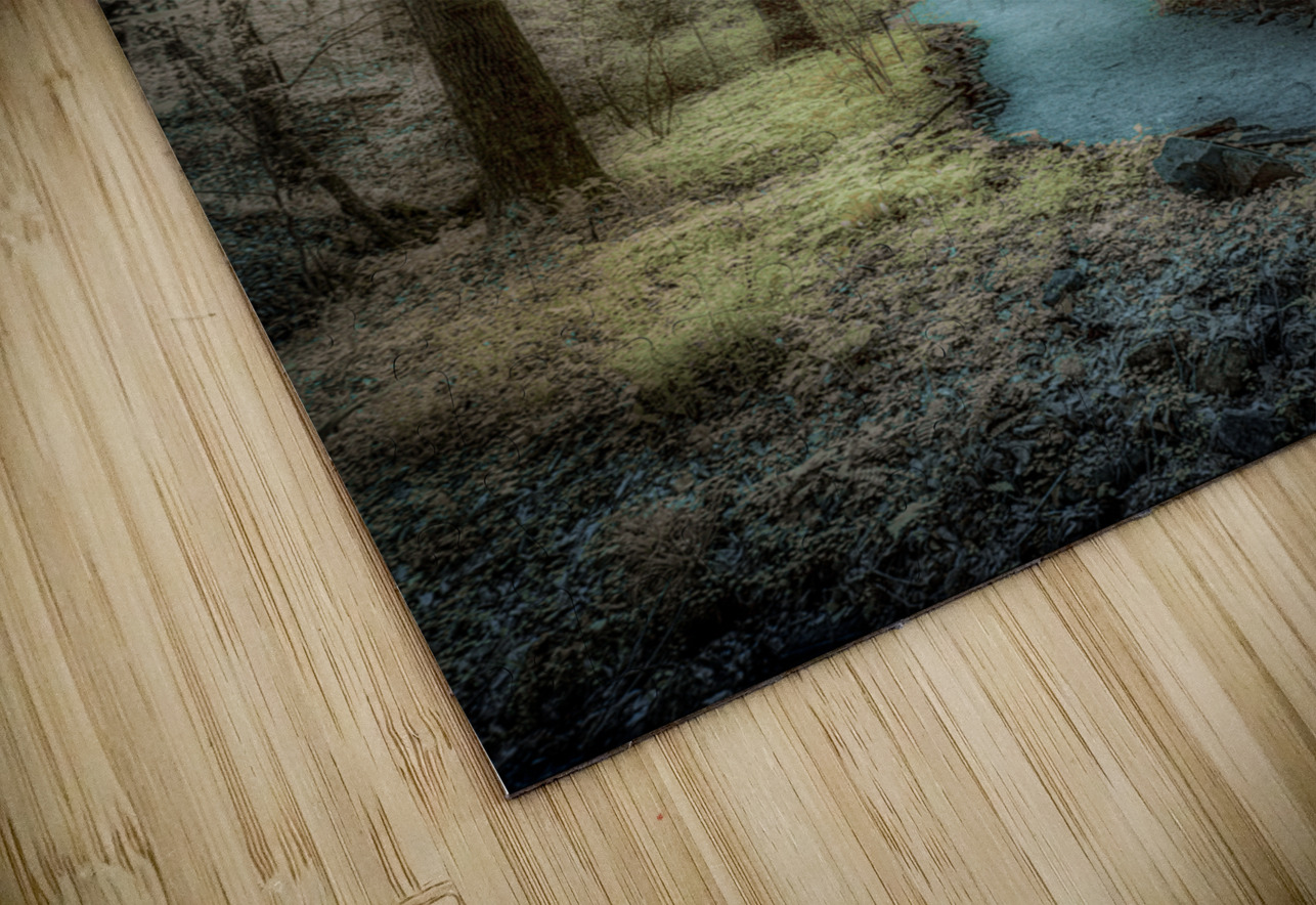 Botanical Bliss: Exploring Colorful Trails in South Carolina Dream World Images Puzzle