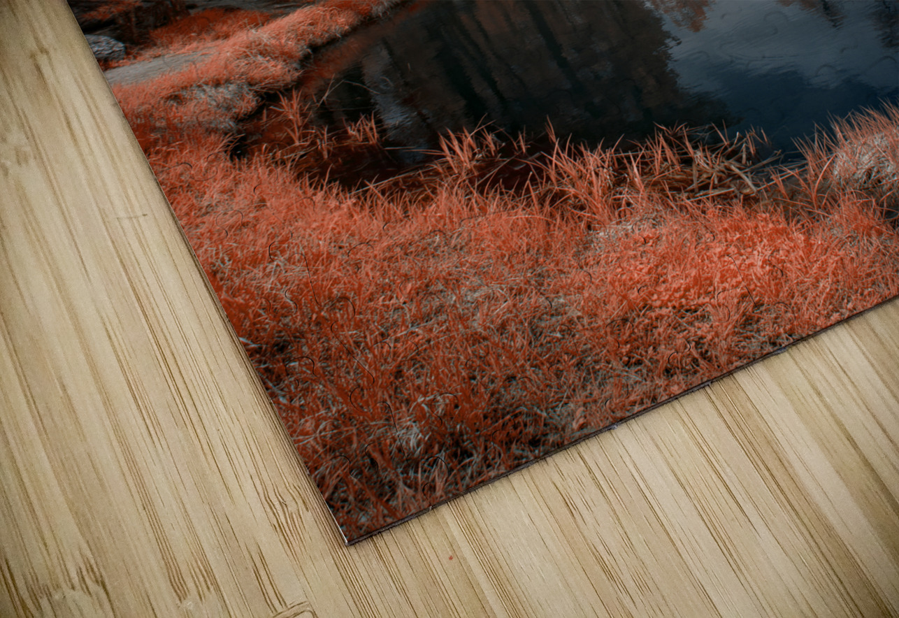 Pumpkin Skies at Coolidge Dream World Images Puzzle