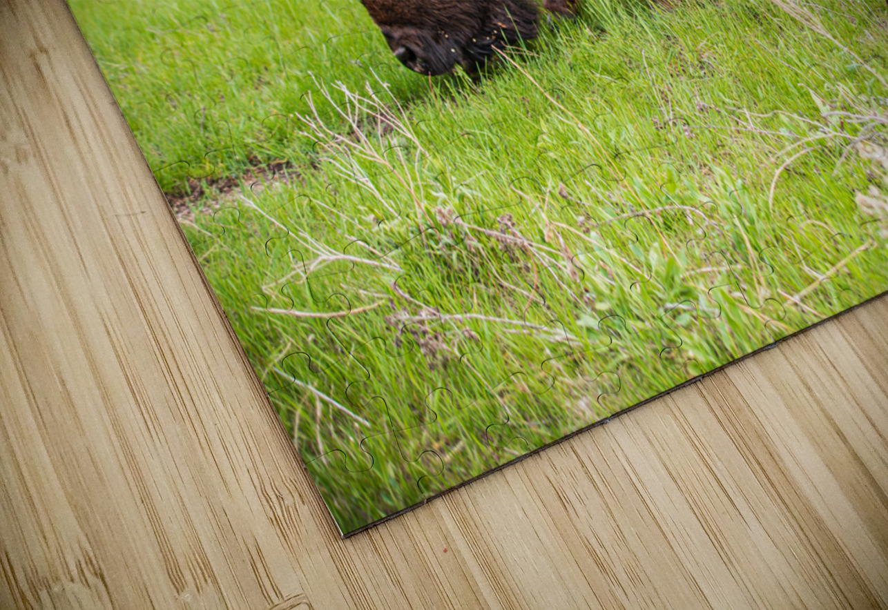 Bison Tales: Prairie Presence Dream World Images Puzzle