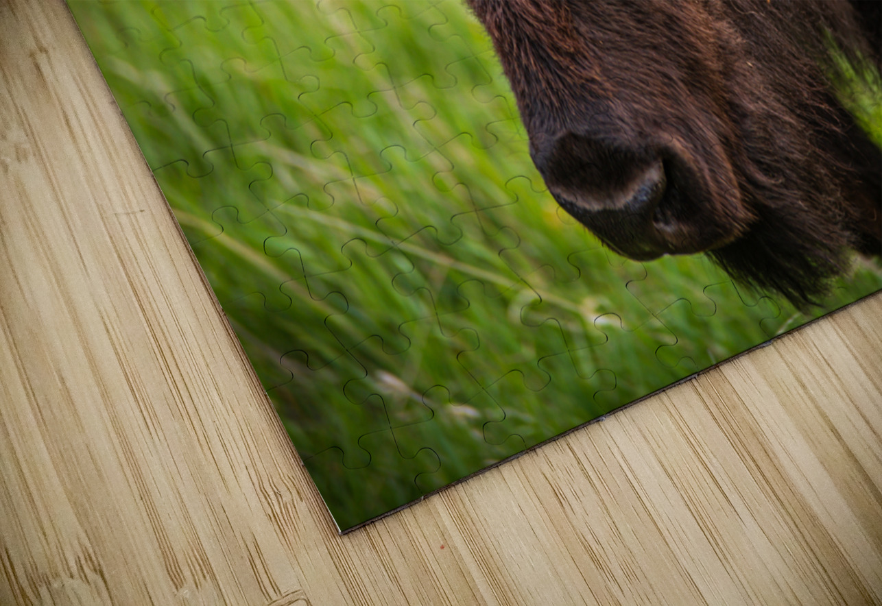 Bison Tales: Wisdom of the Herd Dream World Images Puzzle