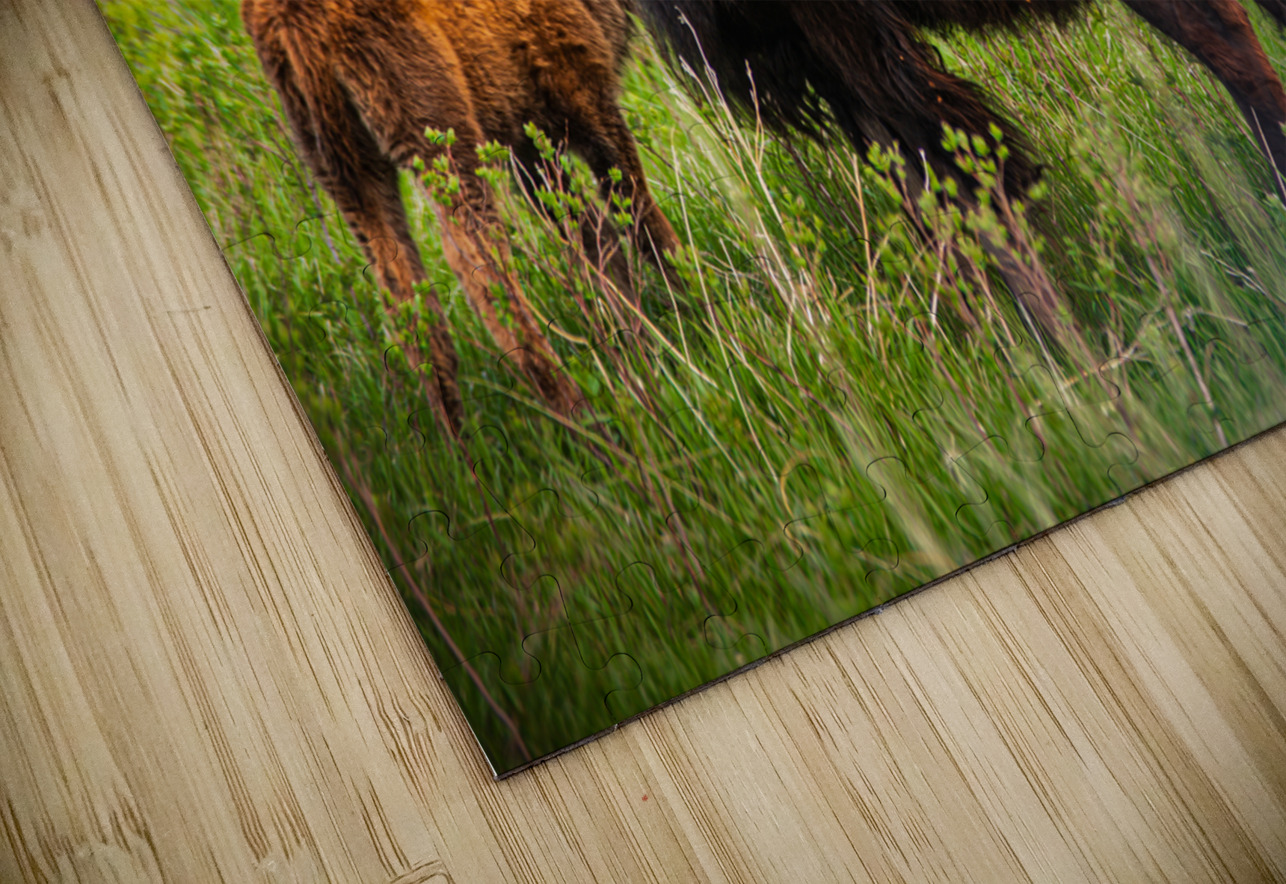 Bison Tales: Got an Itch Dream World Images Puzzle