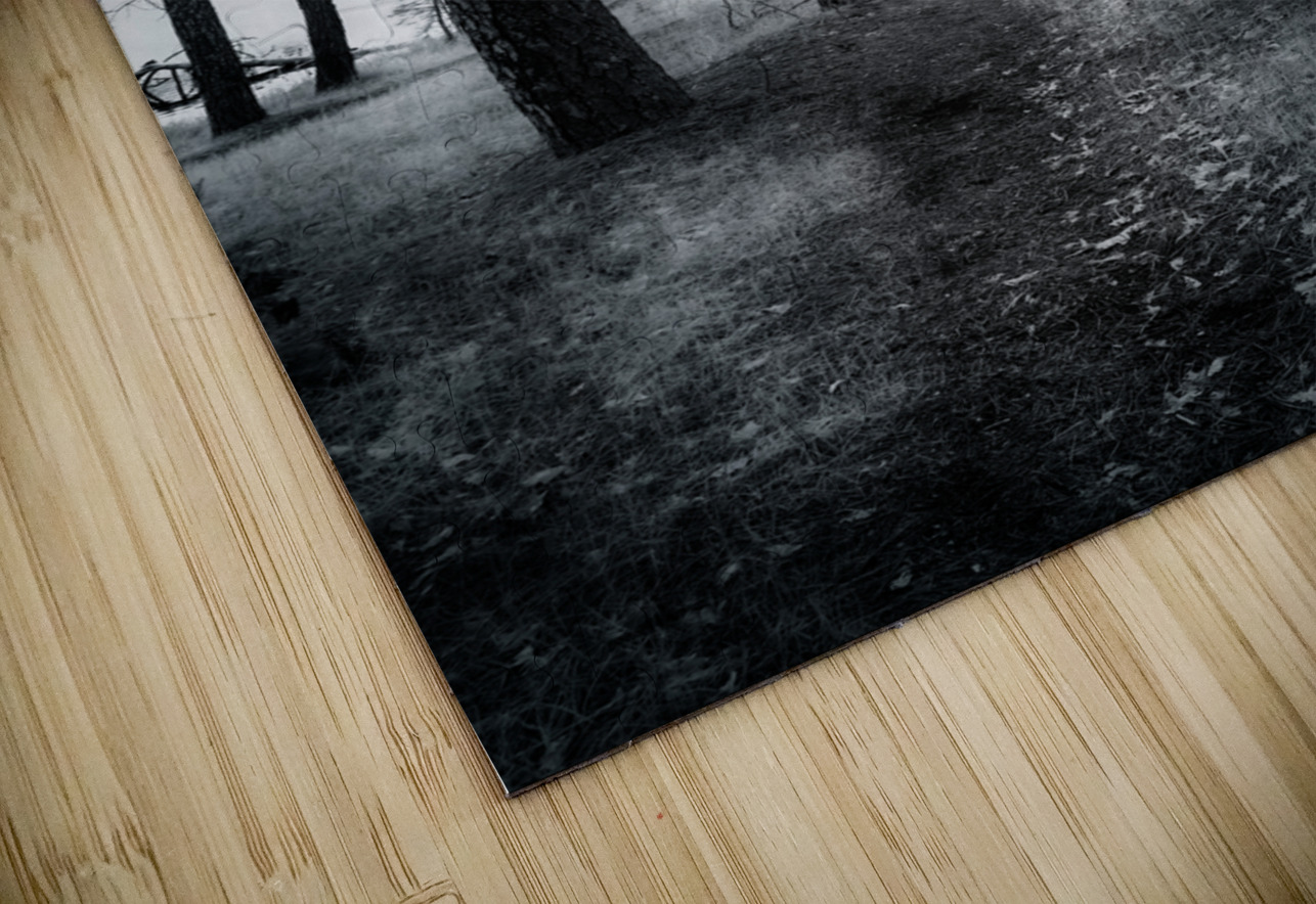 Wandering Through Wonderland: A Mystical Path Along Center Lakes Shores Dream World Images Puzzle