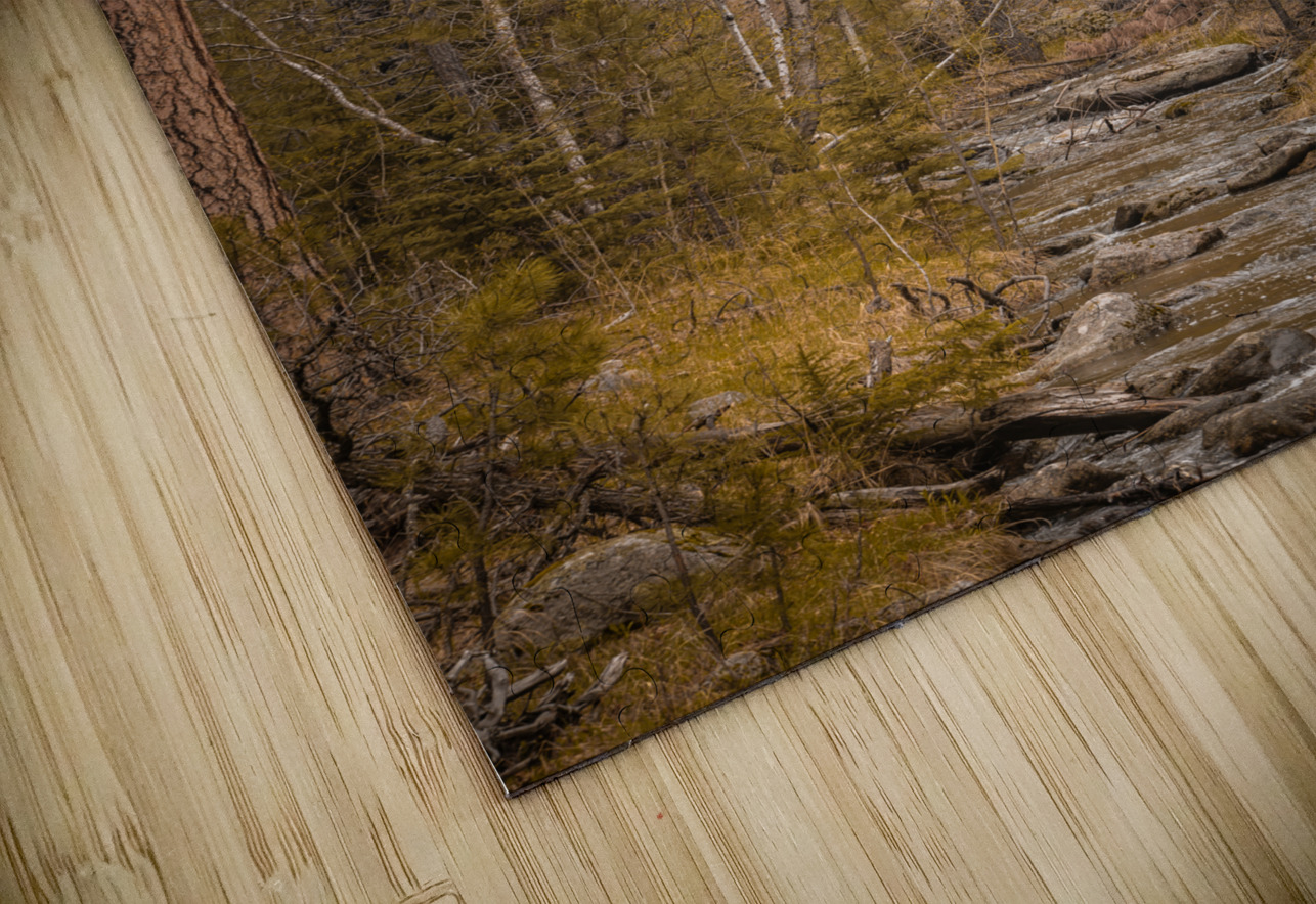 Wilderness Whispers: Grace Coolidge Creek Dream World Images Puzzle