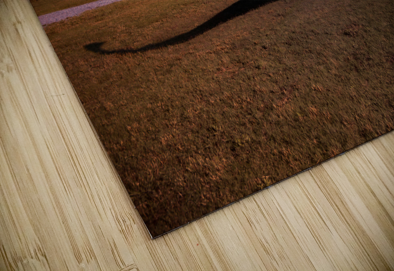 Chattanooga Sculpture 24 Dream World Images Puzzle