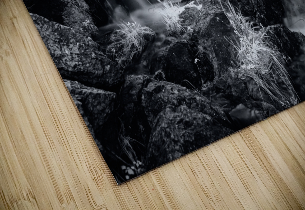 Bismarcks Silver Dance Dream World Images Puzzle