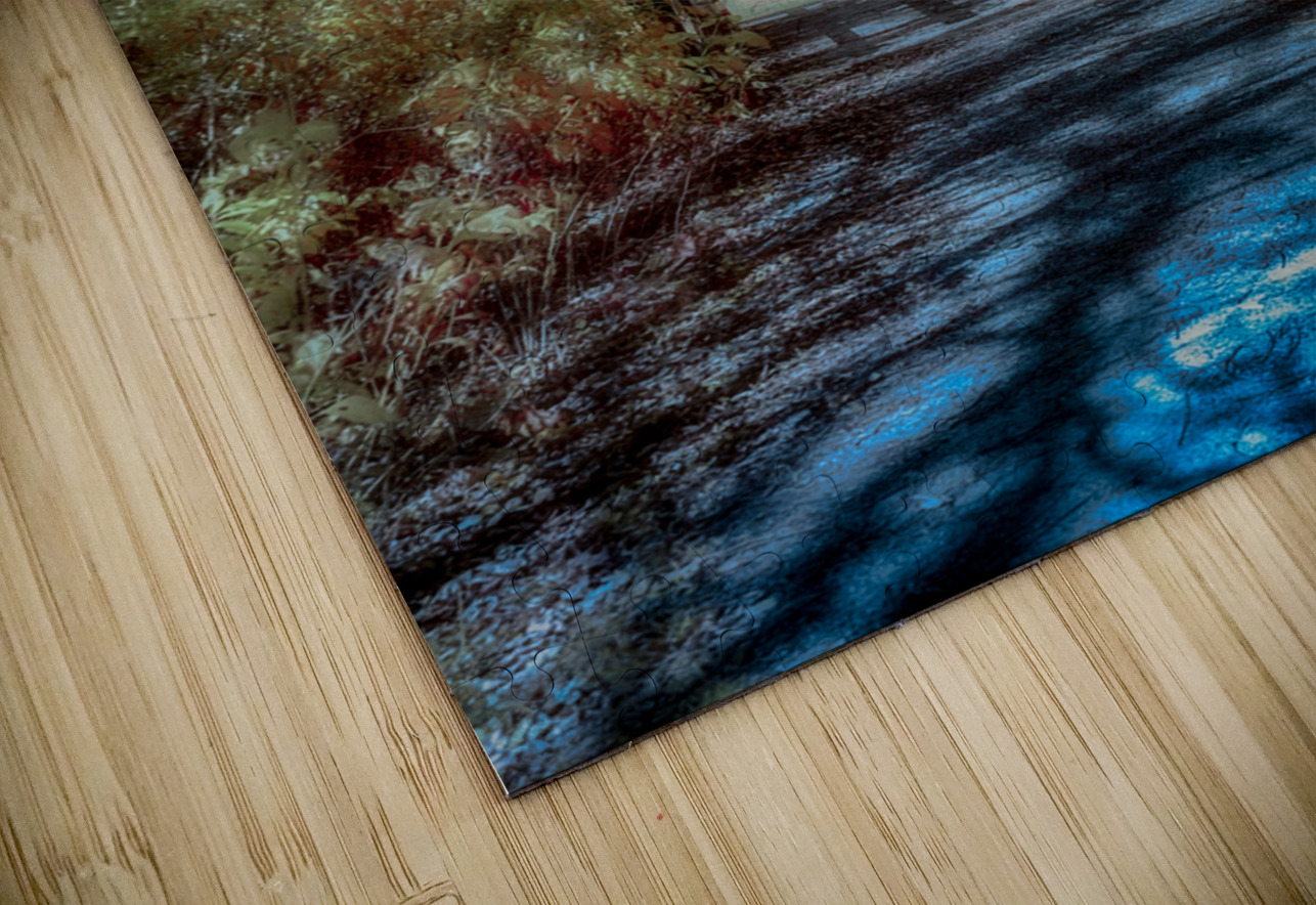 Vivid Trails: A Colorful Infrared Journey at Knox Dam Dream World Images Puzzle