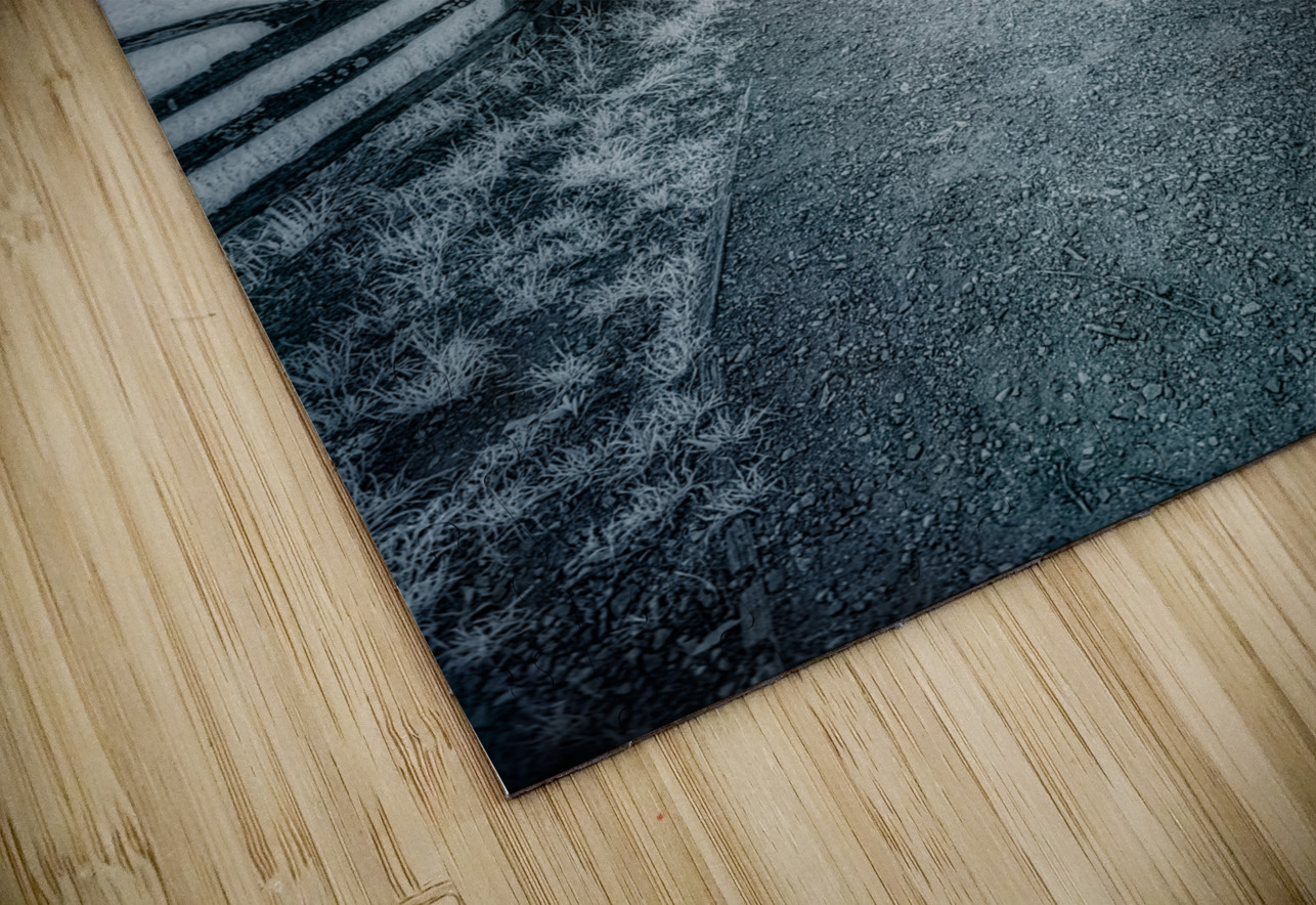 Rustic Reverie: Exploring the Historic Farm Trails Dream World Images Puzzle