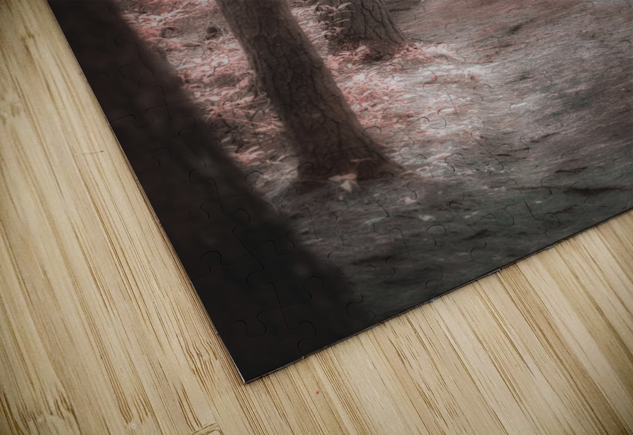 Mystical Forest Walk Dream World Images Puzzle