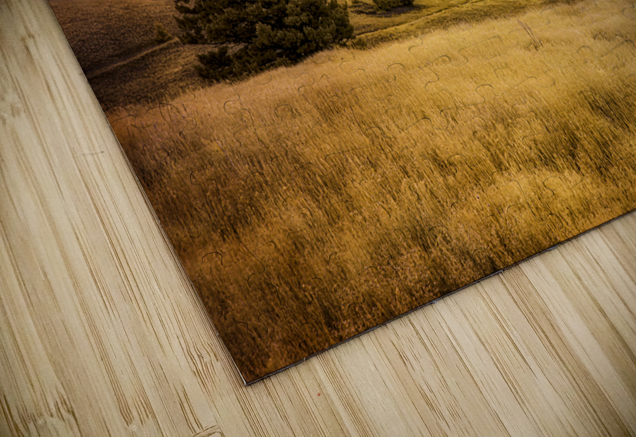 Dreamlike Horizon: Prairies Royal Symphony Dream World Images Puzzle