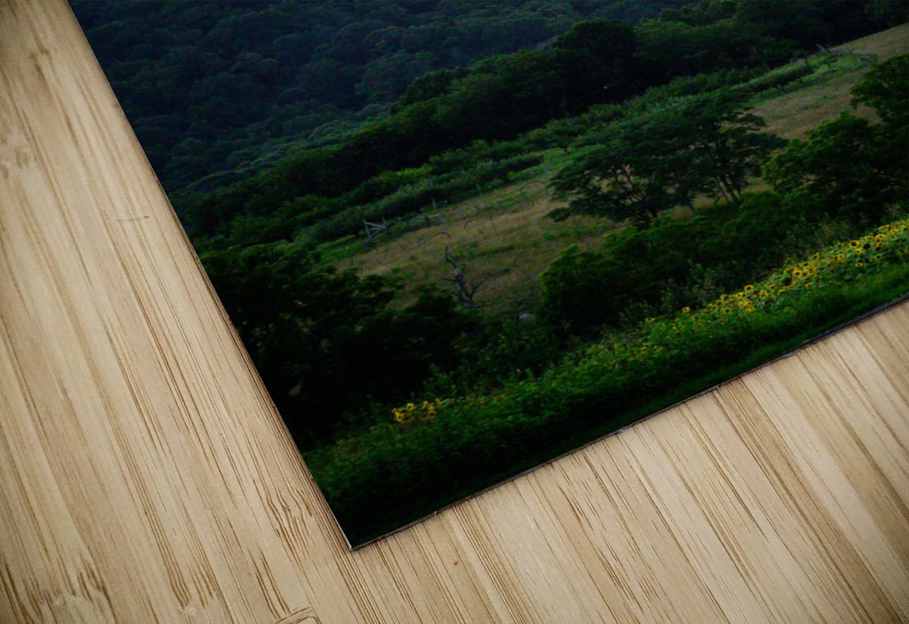 Virginias Golden Veil Dream World Images Puzzle