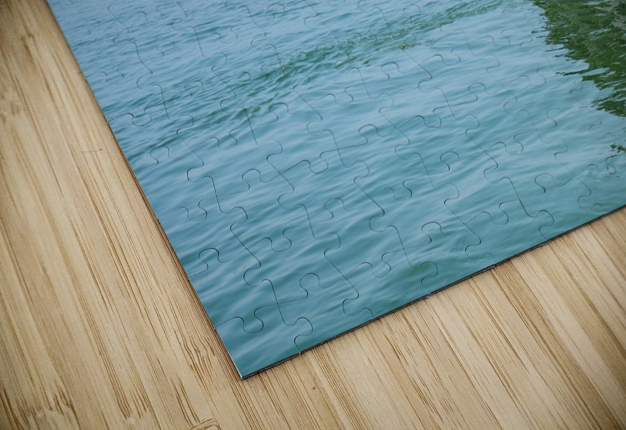 Pier Pilons Dream World Images Puzzle